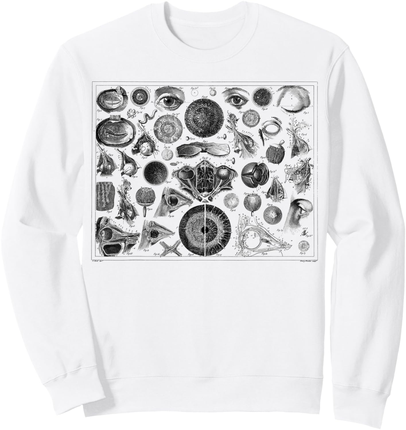 The Human Eye Eyeball Vintage 1800 Anatomy Sweatshirt - Sweatshirt | White
