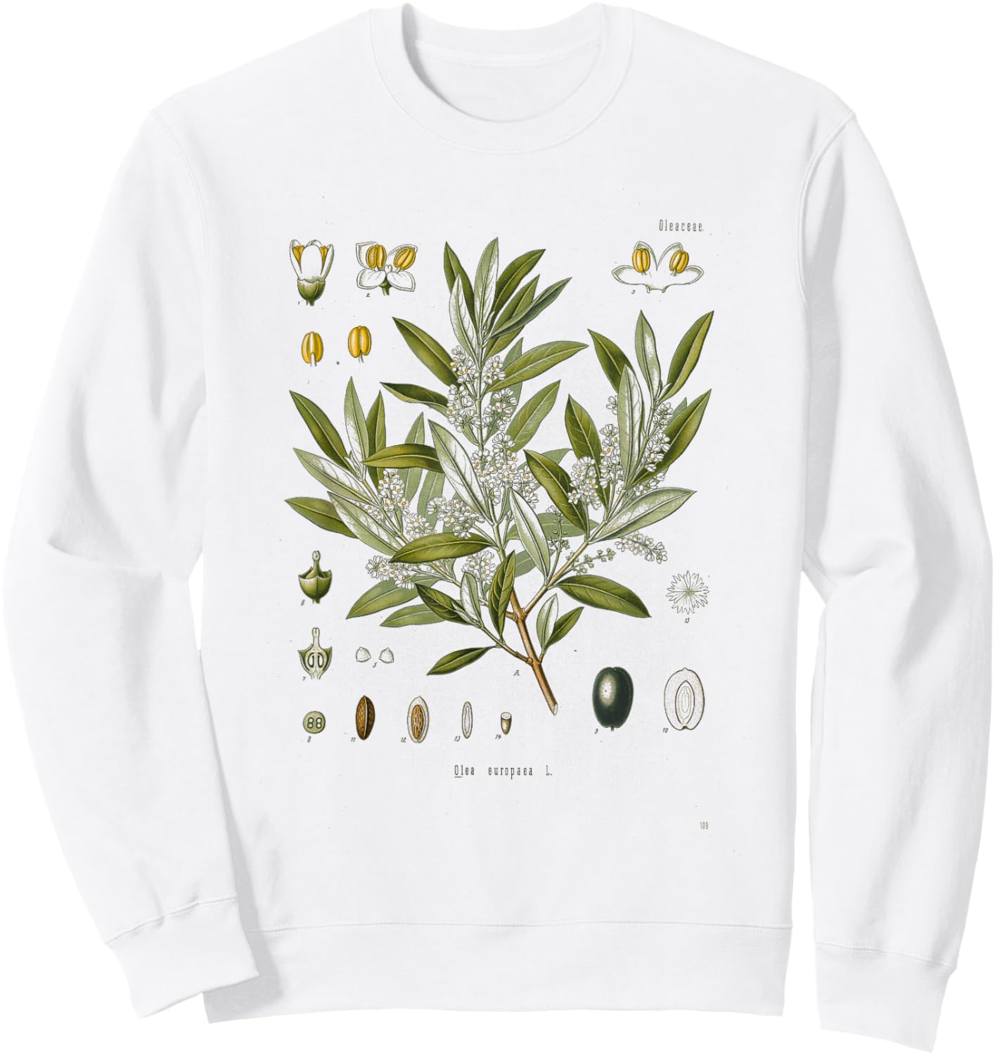 Vintage Botanical Garden Botany Olive tree Sweatshirt - Sweatshirt | White