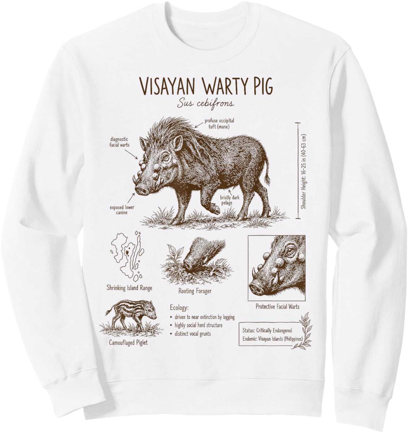Visayan Warty Pig Anatomy Detailed Philippine Wildlife Sweatshirt - Sweatshirt | White