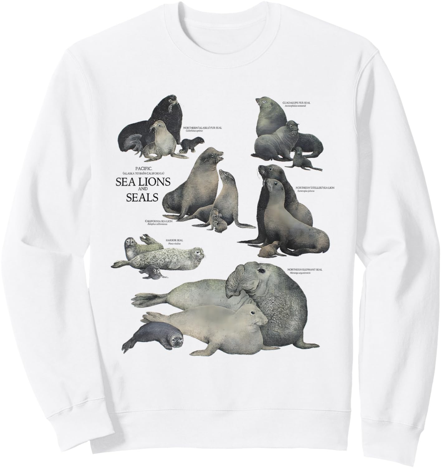 Vintage Pacific Sea Lions and Seals Species Chart Sweatshirt - Sweatshirt | White