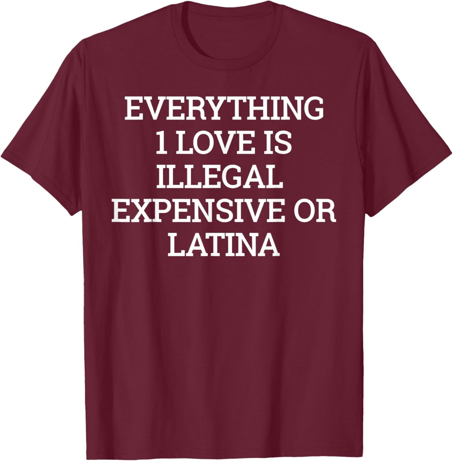 Everything I Love is Illegal T-Shirt - T-Shirt | Maroon