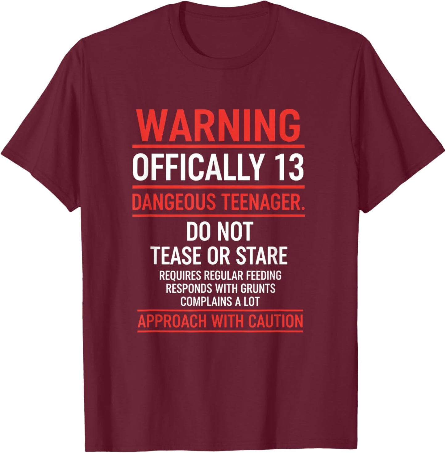 Birthday Officially 13 Warning, Dangerous Teenager Birthday T-Shirt - T-Shirt | Maroon