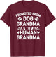 Dog Grandma To Human Grandma Funny Grandma Announcement T-Shirt - T-Shirt | Maroon