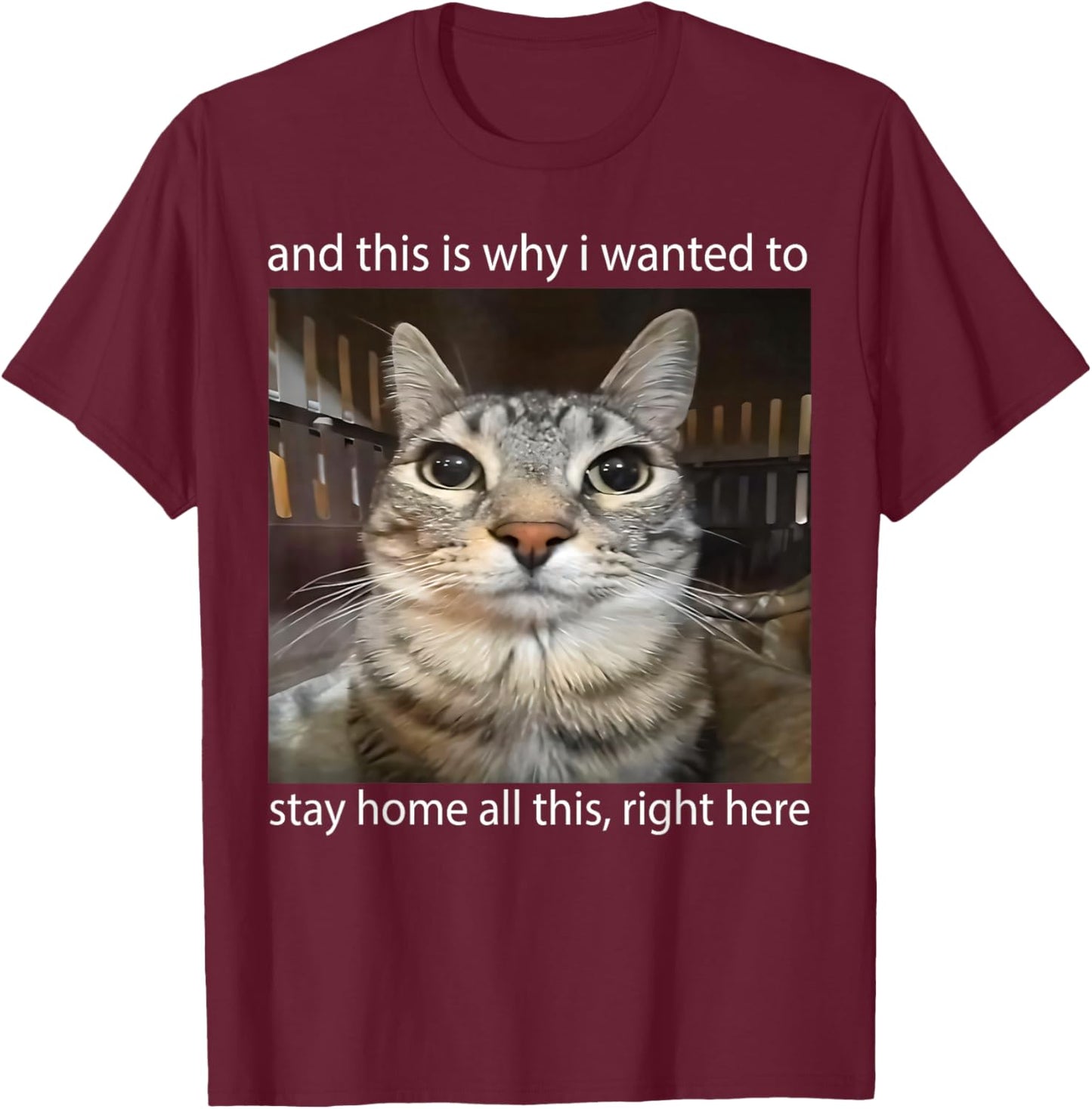 Silly Staring Cat Meme and This is Why I Wanted to Stay Home T-Shirt - T-Shirt | Maroon