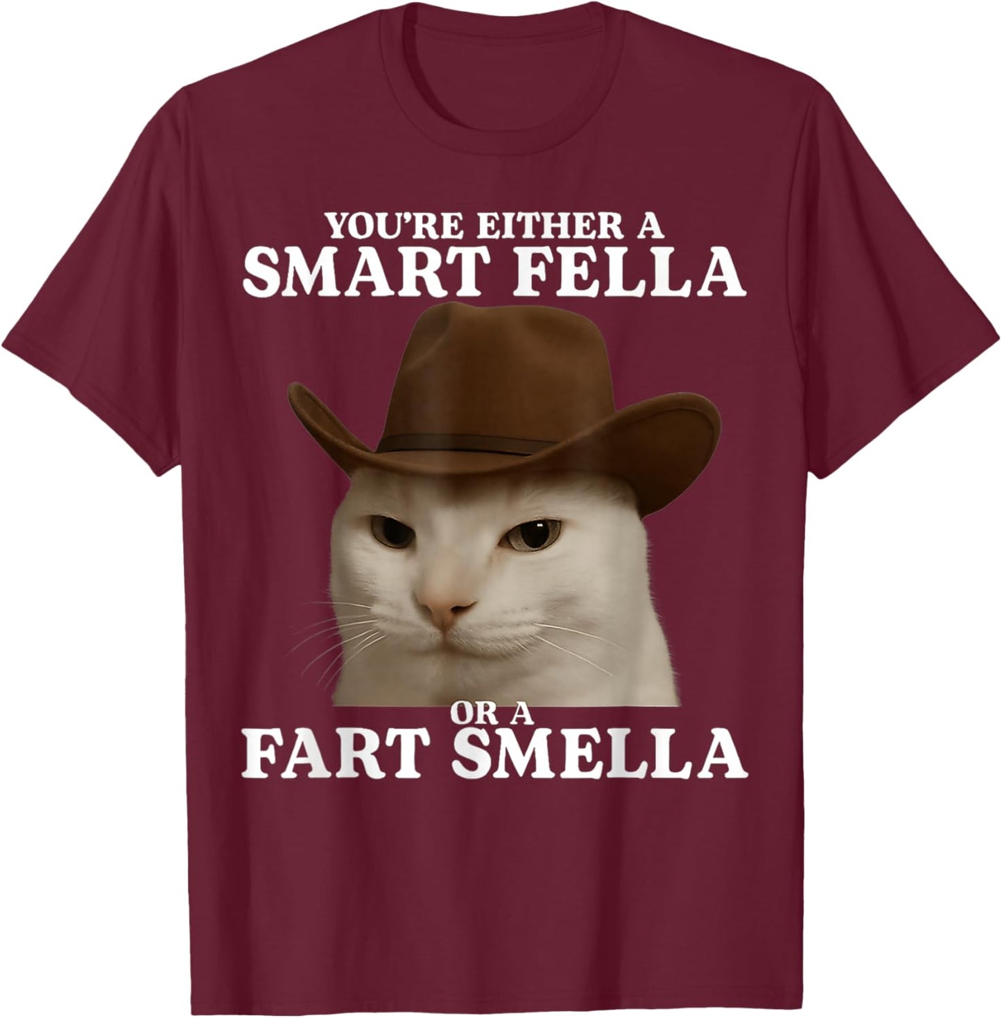 You're Either a Smart Fella or a Fart Smella Cat Funny Meme T-Shirt - T-Shirt | Maroon
