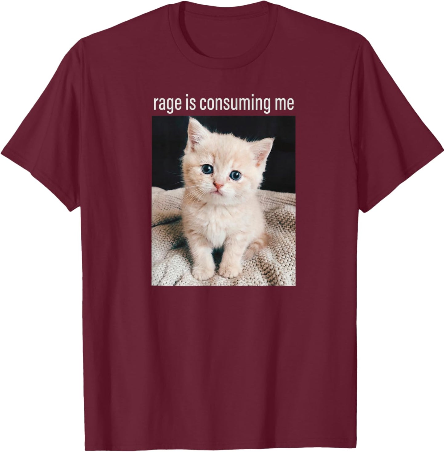 Cat Meme Rage is Consuming Me Minimalist Humor T-Shirt - T-Shirt | Maroon