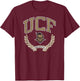 Central Florida Golden Knights Victory Vintage Dark Heather T-Shirt - T-Shirt | Maroon