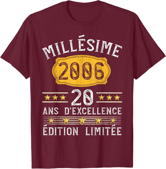 Vintage 2006 Gift 20 Years Man Birthday Humour T-Shirt - T-Shirt | Maroon