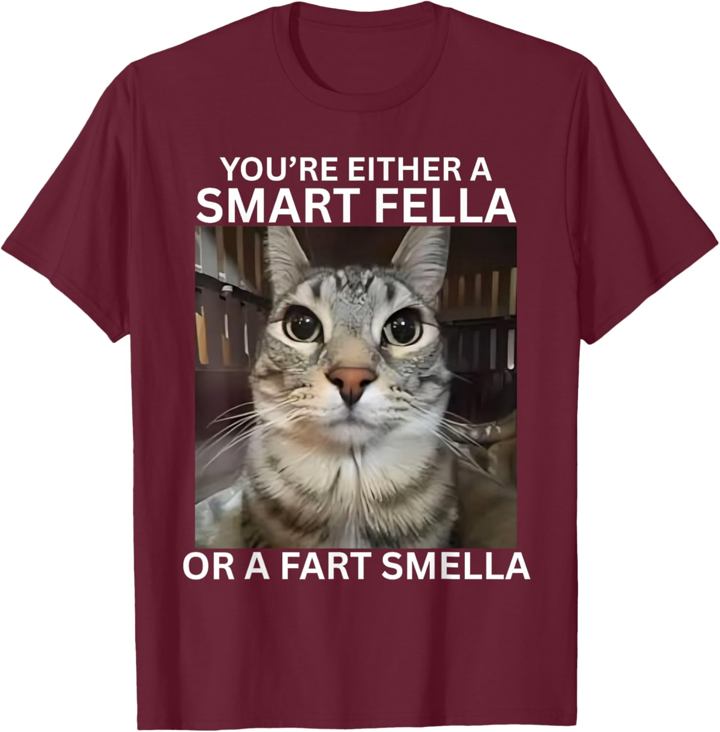 You're Either A Smart Fella Or A Fart Smella Meme Cat Meme T-Shirt - T-Shirt | Maroon