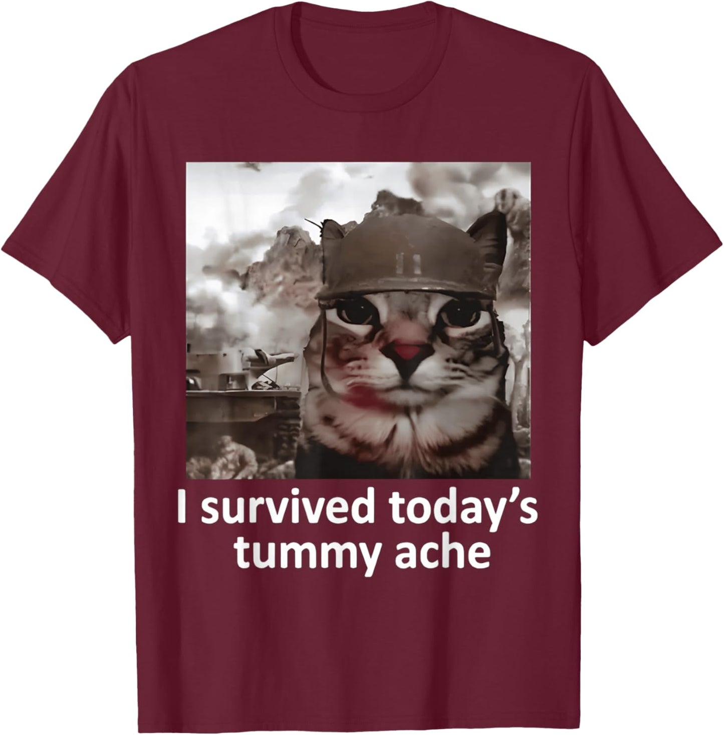 I Survived Today's Tummy Ache T-Shirt - T-Shirt | Maroon