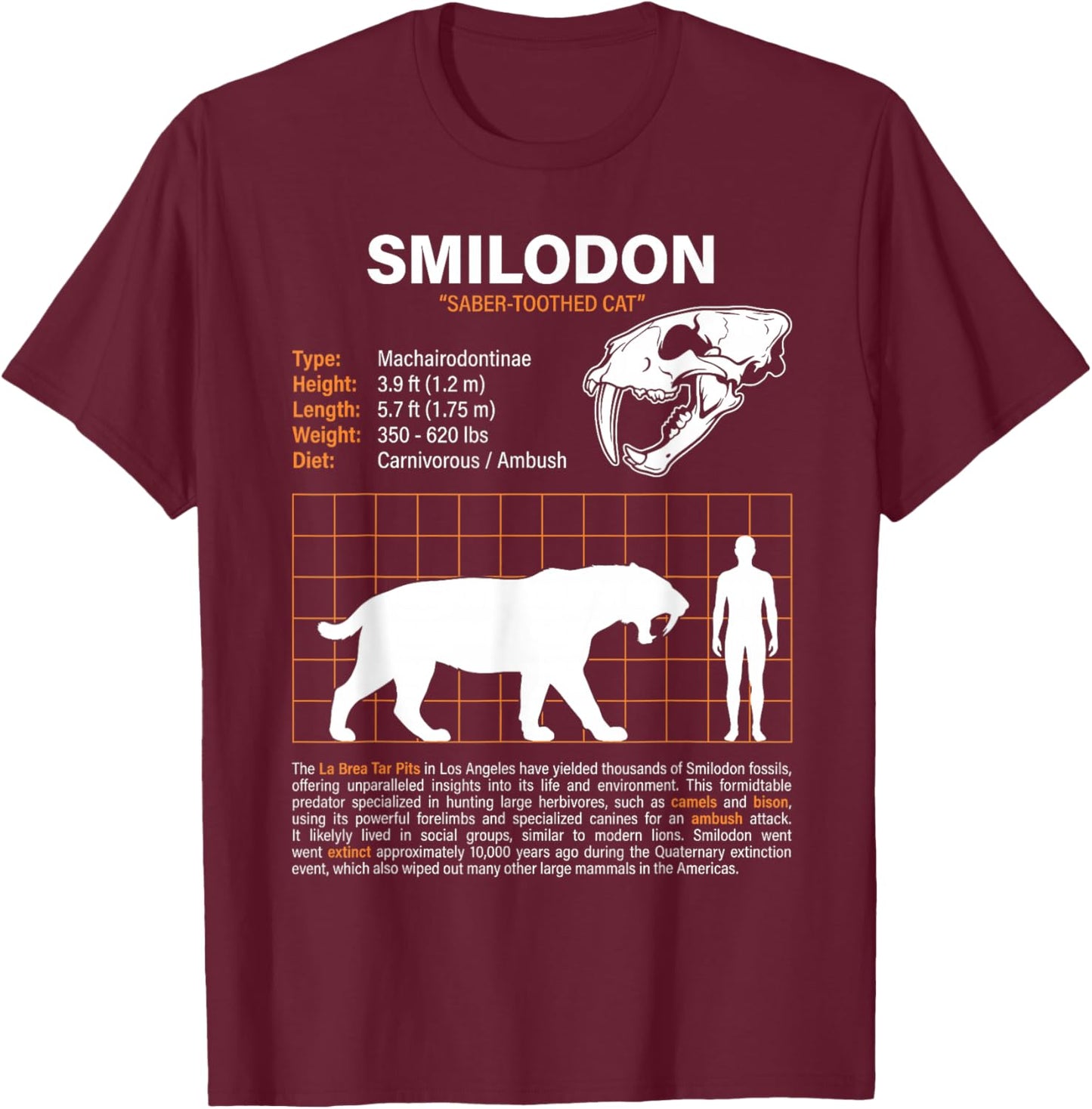 T-Shirt T-Shirt - T-Shirt | Maroon