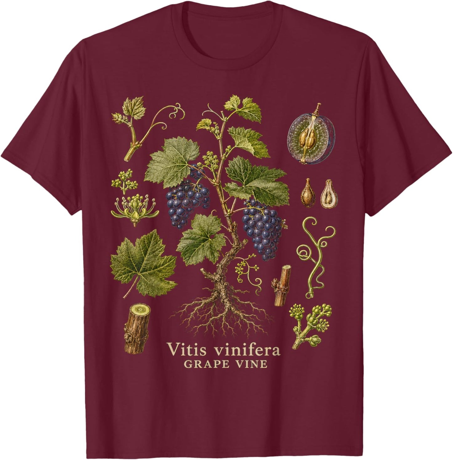 Grape Vine Botanical Anatomy Vintage Nature Study Art T-Shirt - T-Shirt | Maroon