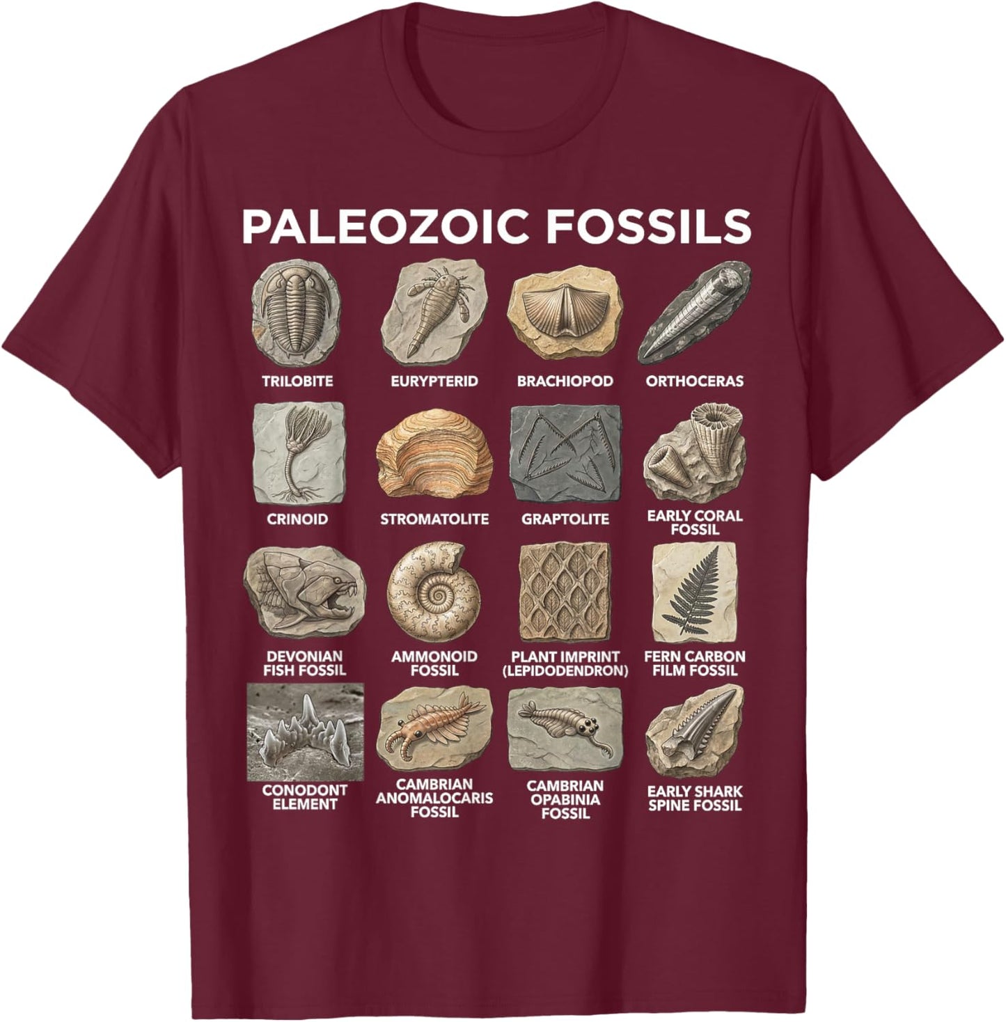 Paleozoic Fossils Chart Paleontology Science Lovers T-Shirt - T-Shirt | Maroon