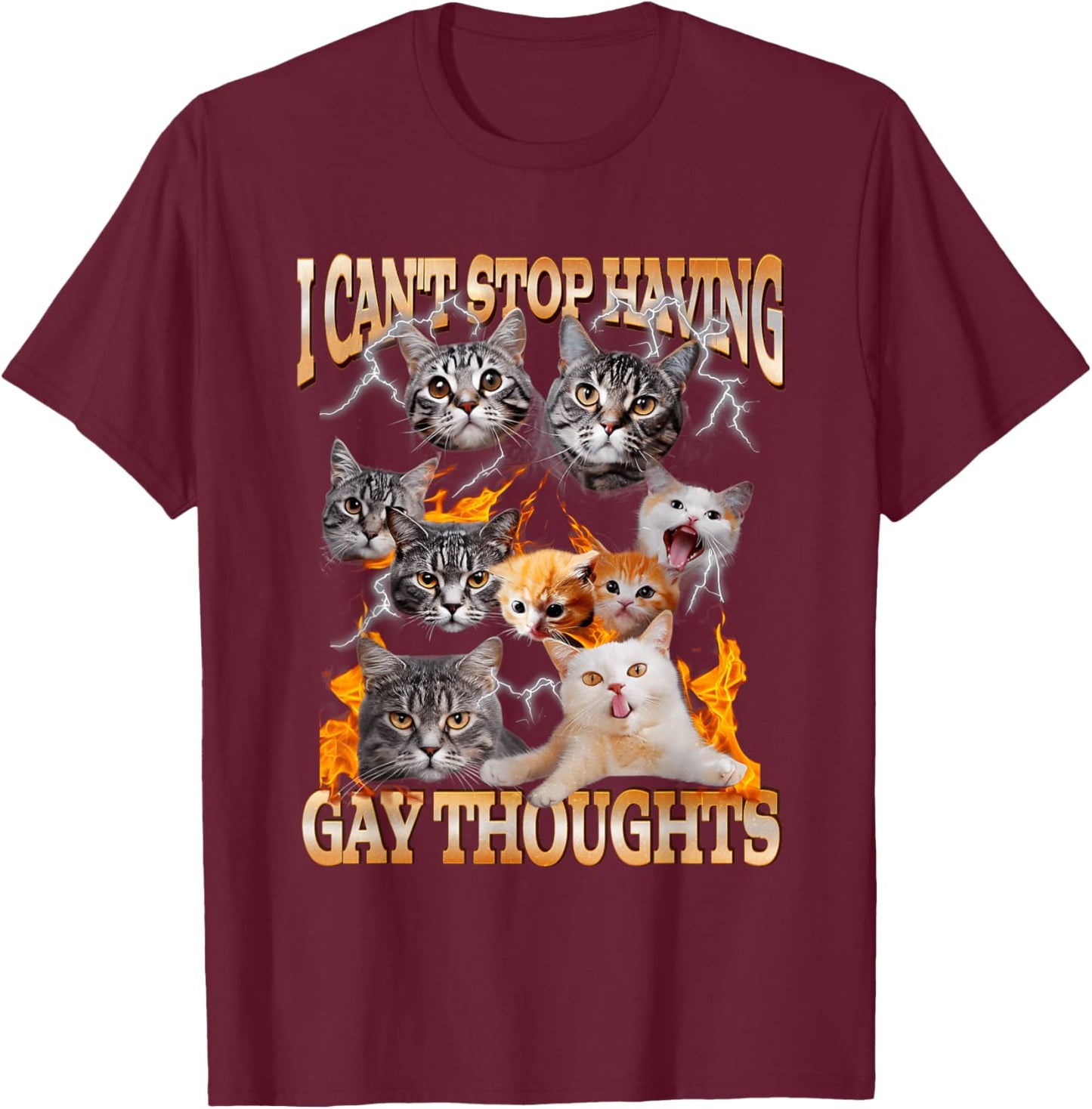 I Can't Stop Having Gay Thoughts Funny Cat Meme Bootleg T-Shirt - T-Shirt | Maroon