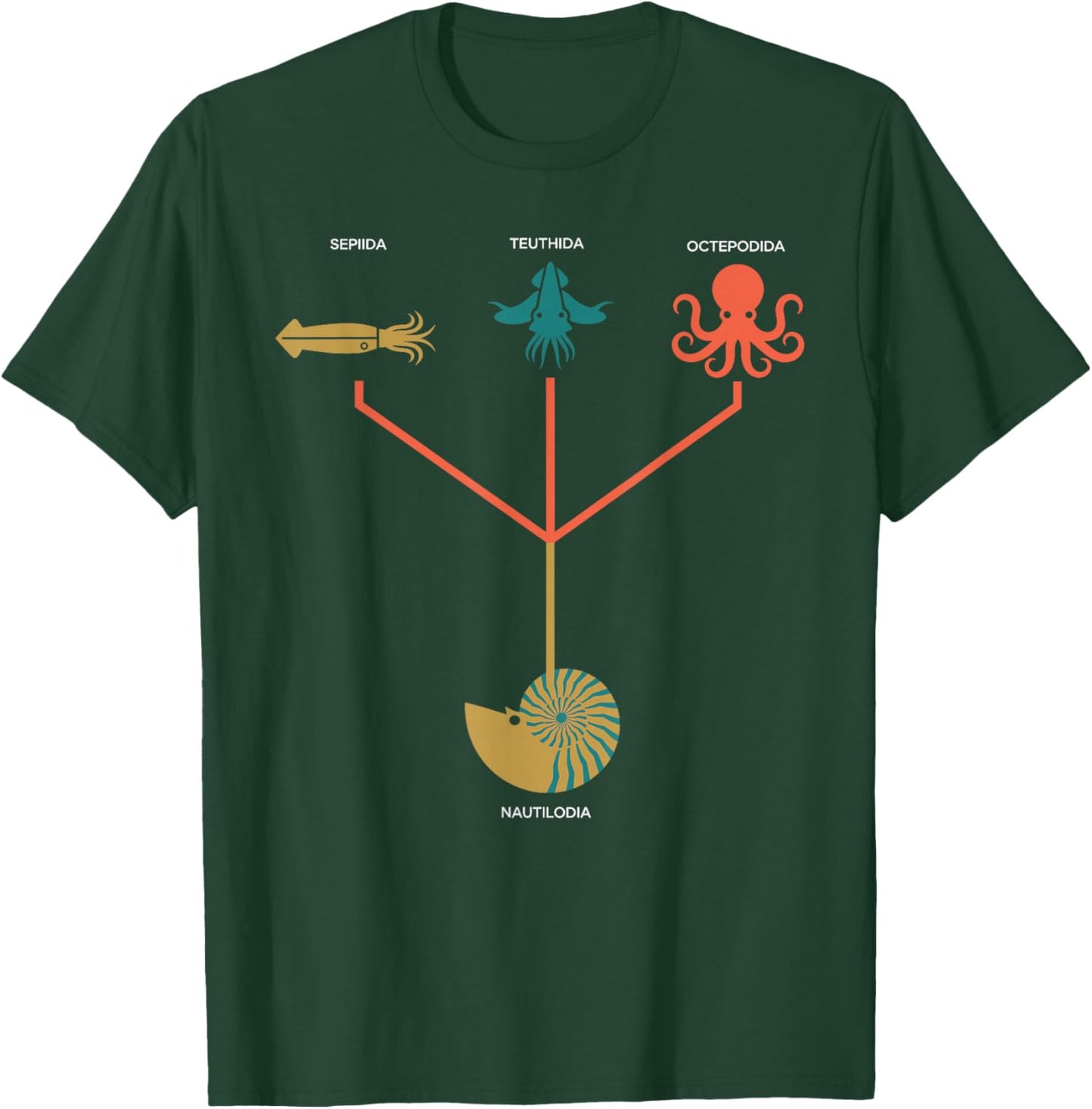 Cephalopod Phylogeny Chart Marine Biology T-Shirt - T-Shirt | Forest