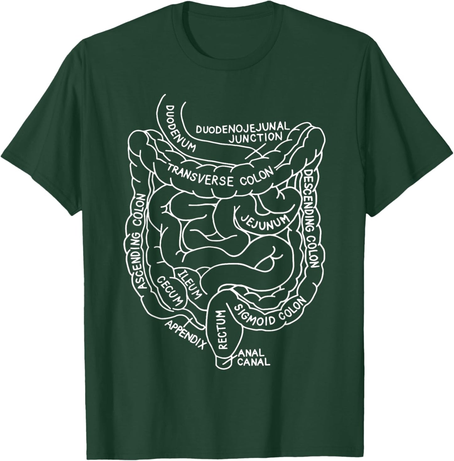 Digestive System Anatomy Gastroenterology Biology Teacher T-Shirt - T-Shirt | Forest