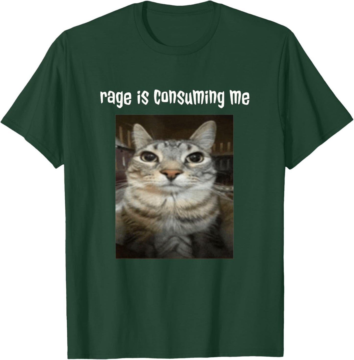 Silly Staring Cat Meme Rage Is Consuming Me T-Shirt - T-Shirt | Forest