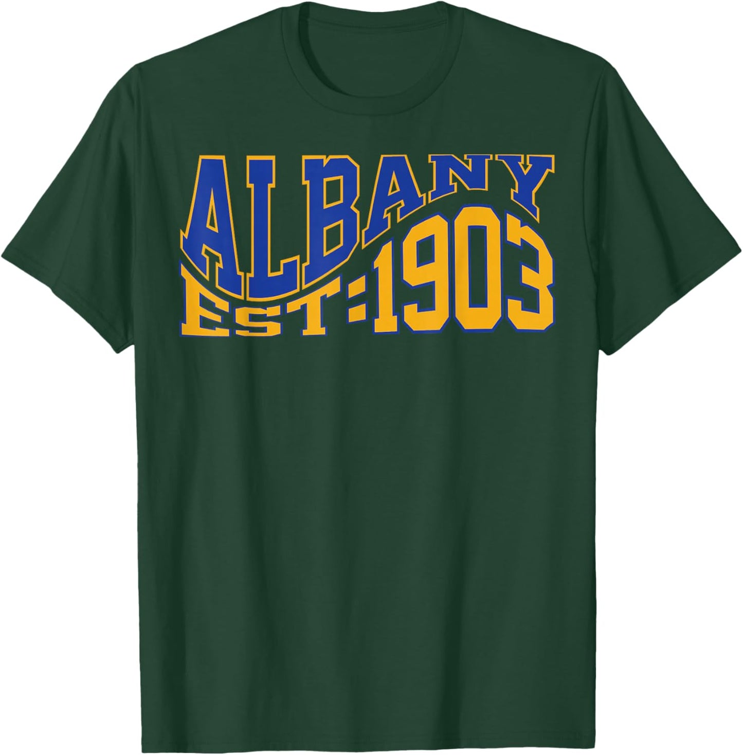 Retro Albany Wave Text City Vintage State T-Shirt - T-Shirt | Forest