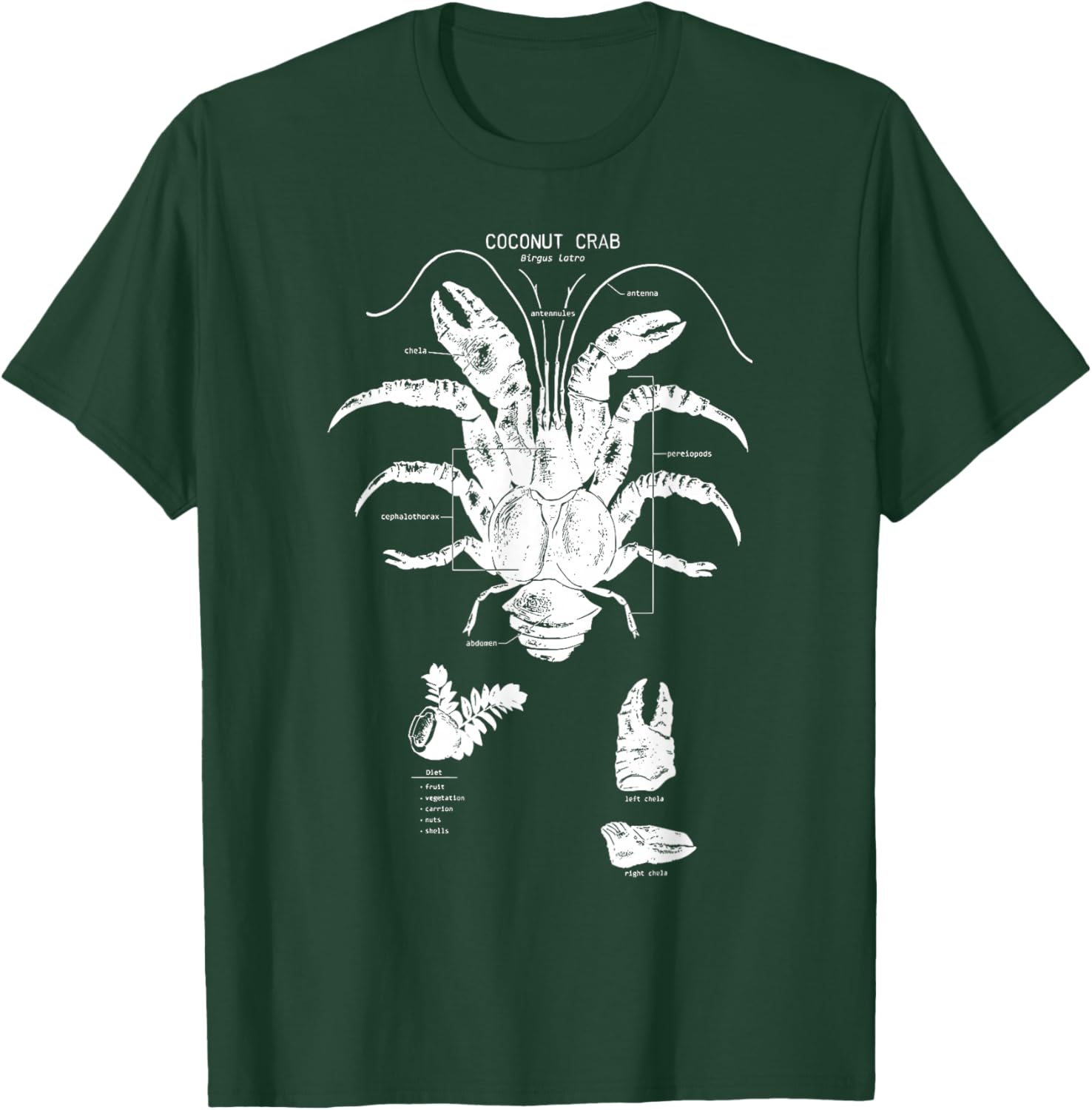 Coconut Crab Anatomy Marine Biology Cute Sea Animal Ocean T-Shirt - T-Shirt | Forest