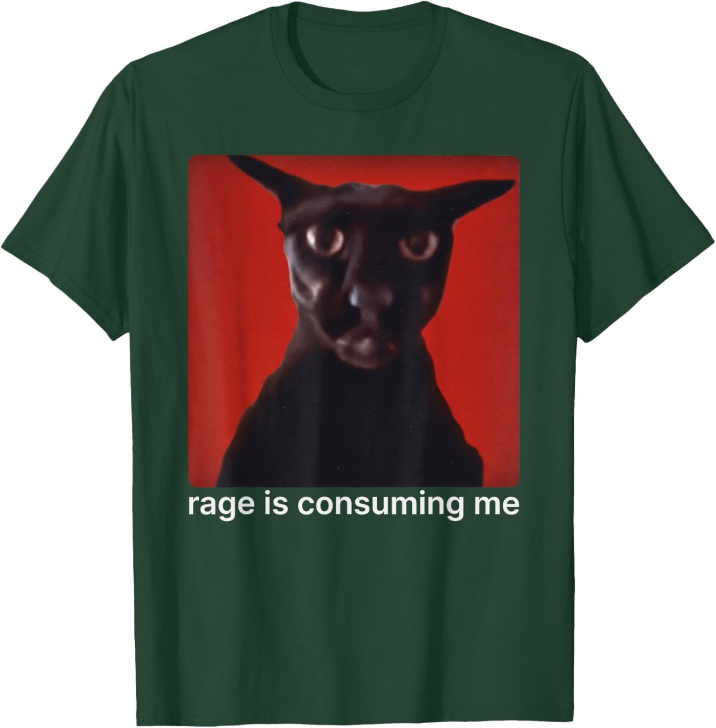 Rage is Consuming Me Funny Evil Larry Cat Meme Humor T-Shirt - T-Shirt | Forest