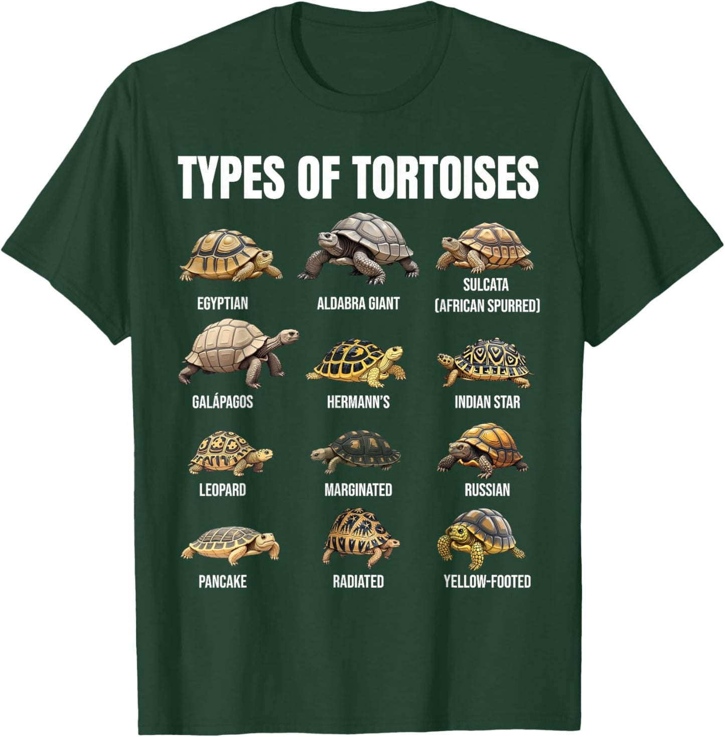 Types of Tortoises Land Tortoise Species Educational Chart T-Shirt - T-Shirt | Forest