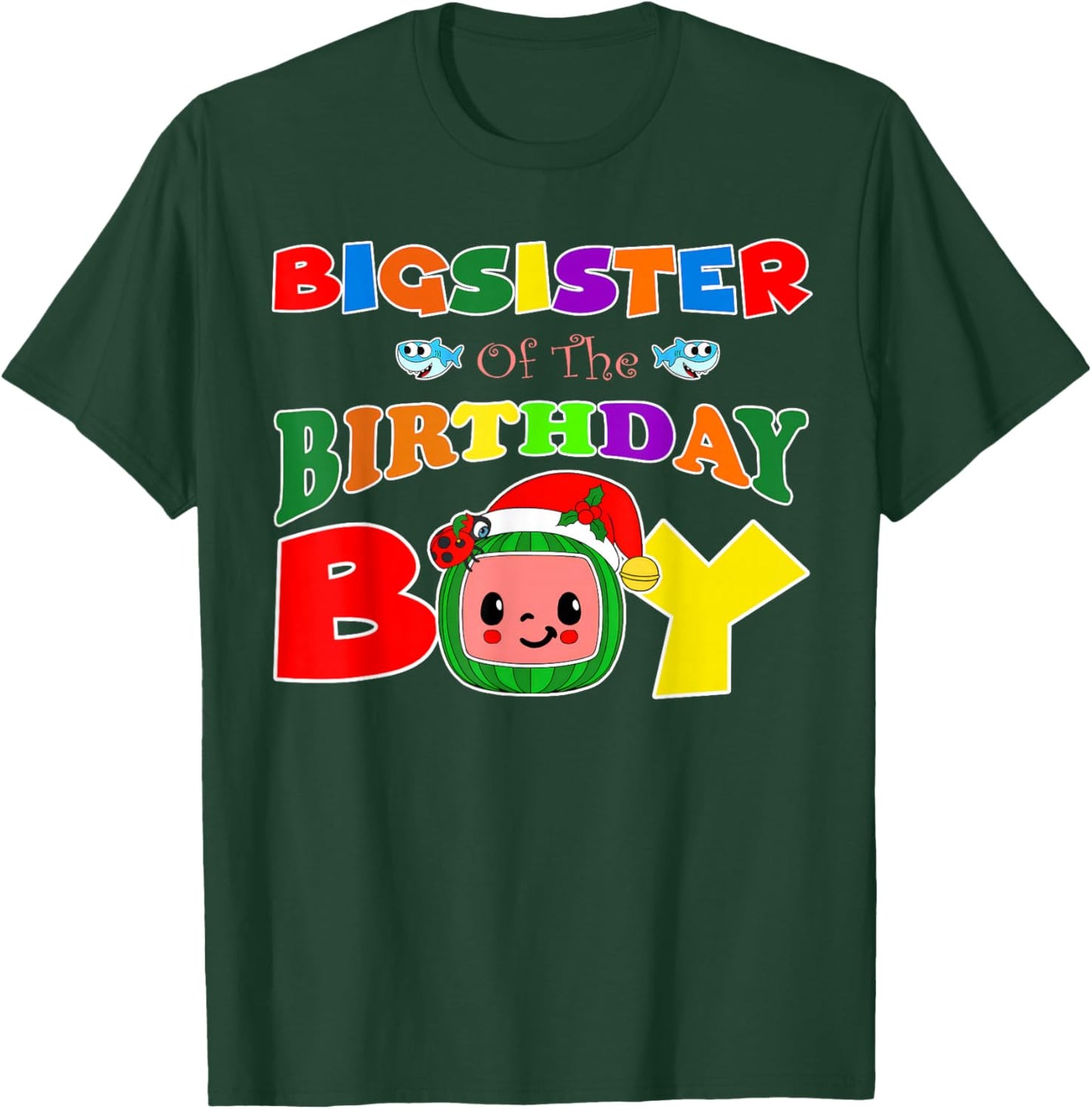 Big Sister Of The Birthday Boy Funny Melon Family Matching T-Shirt - T-Shirt | Forest