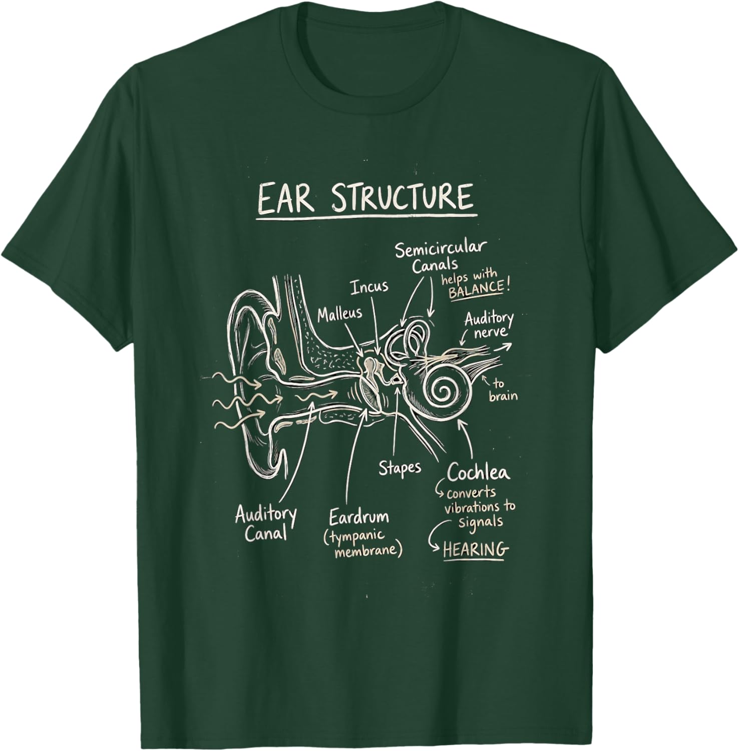 Ear Structure Anatomy Hearing Science Diagram T-Shirt - T-Shirt | Forest