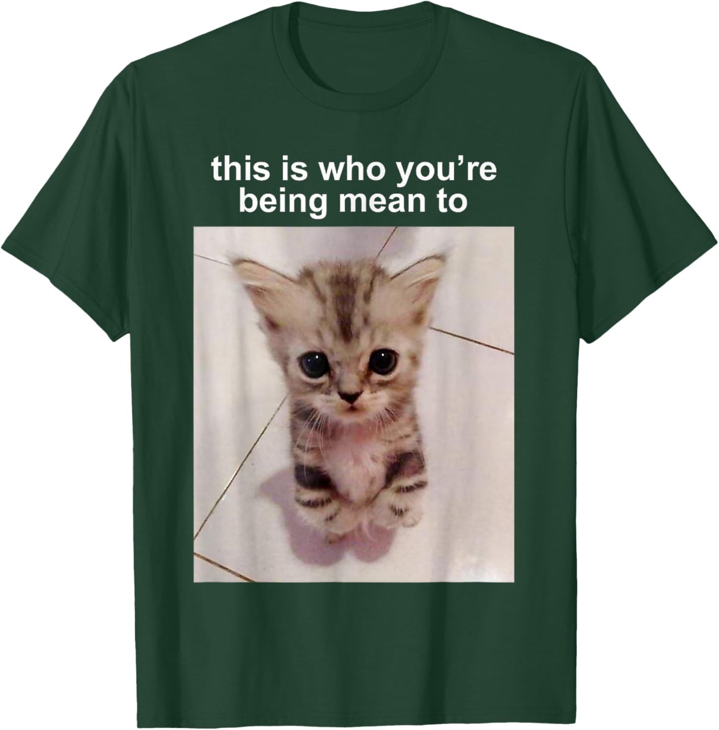 This Is Who You're Being Mean To Silly Cat FUNNY CUTE Cat T-Shirt - T-Shirt | Forest
