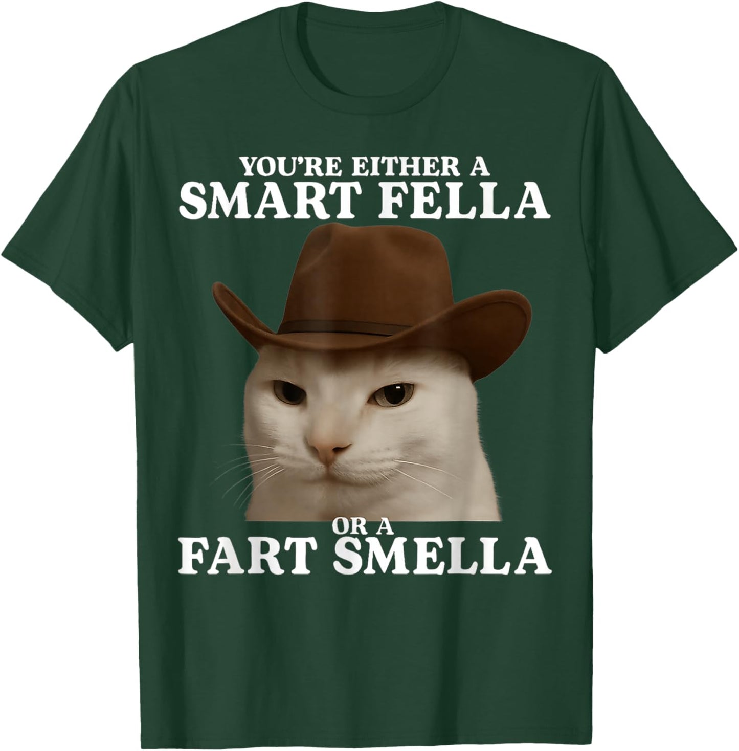 You're Either a Smart Fella or a Fart Smella Cat Funny Meme T-Shirt - T-Shirt | Forest