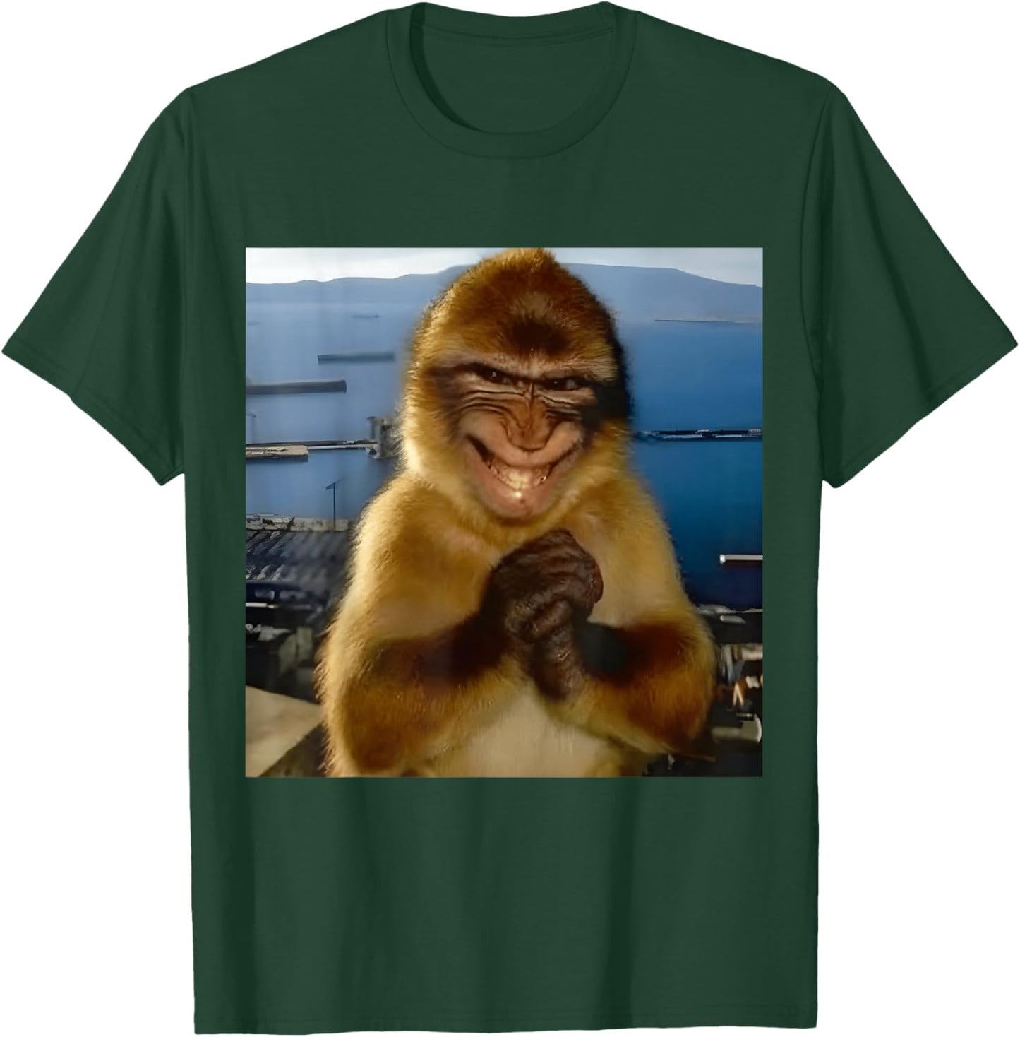 Thinking Monkey Meme Found an Evil Idea Smiling Funny Silly T-Shirt - T-Shirt | Forest