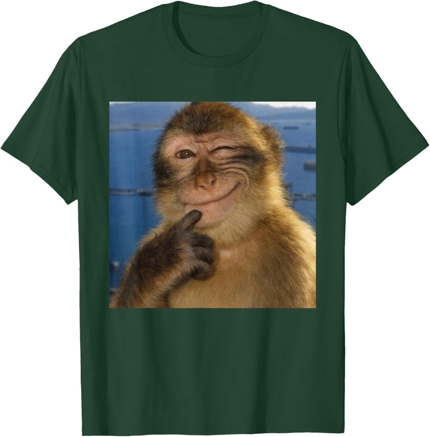 Thinking Monkey Meme Smiling Funny Brainrot T-Shirt - T-Shirt | Forest