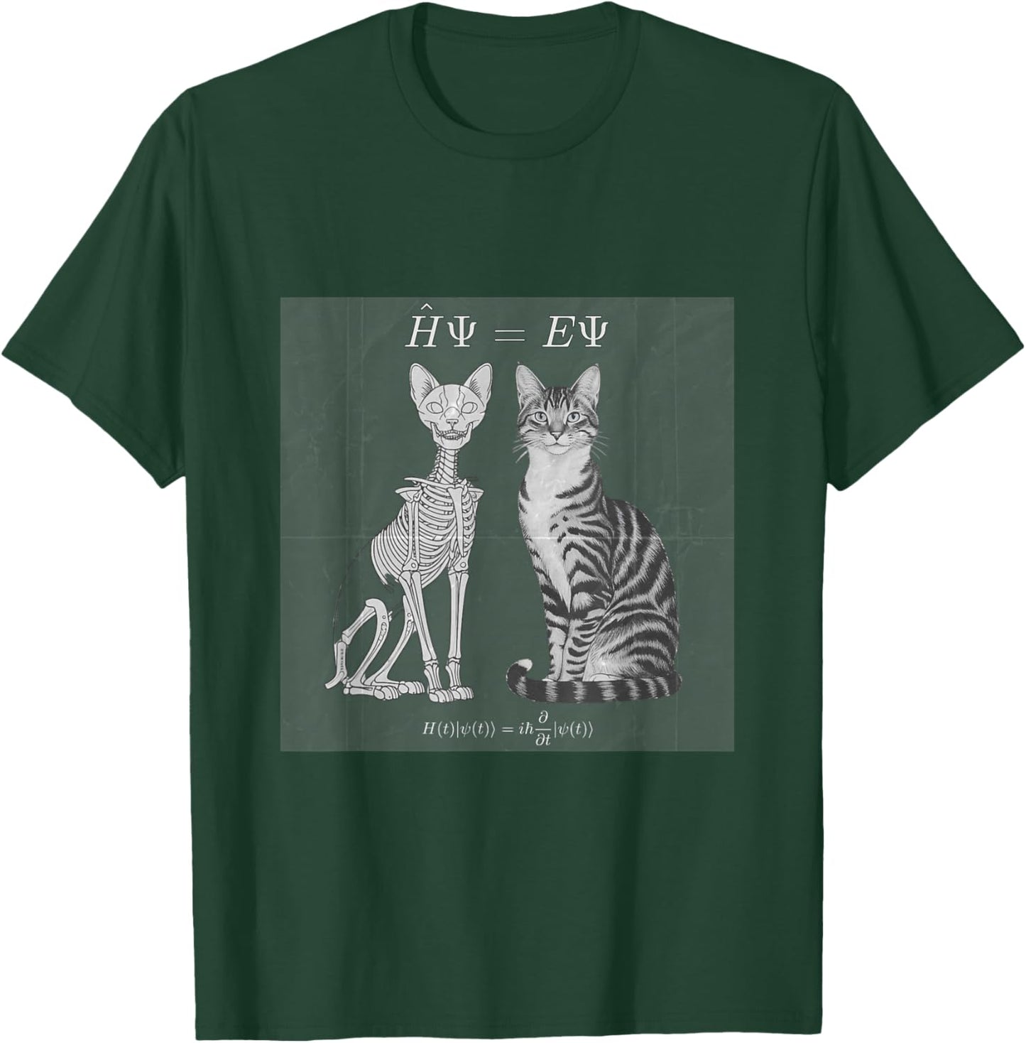 Quantum Superposition Schodinger's Cat Equation Dead Alive Women T-Shirt - T-Shirt | Forest