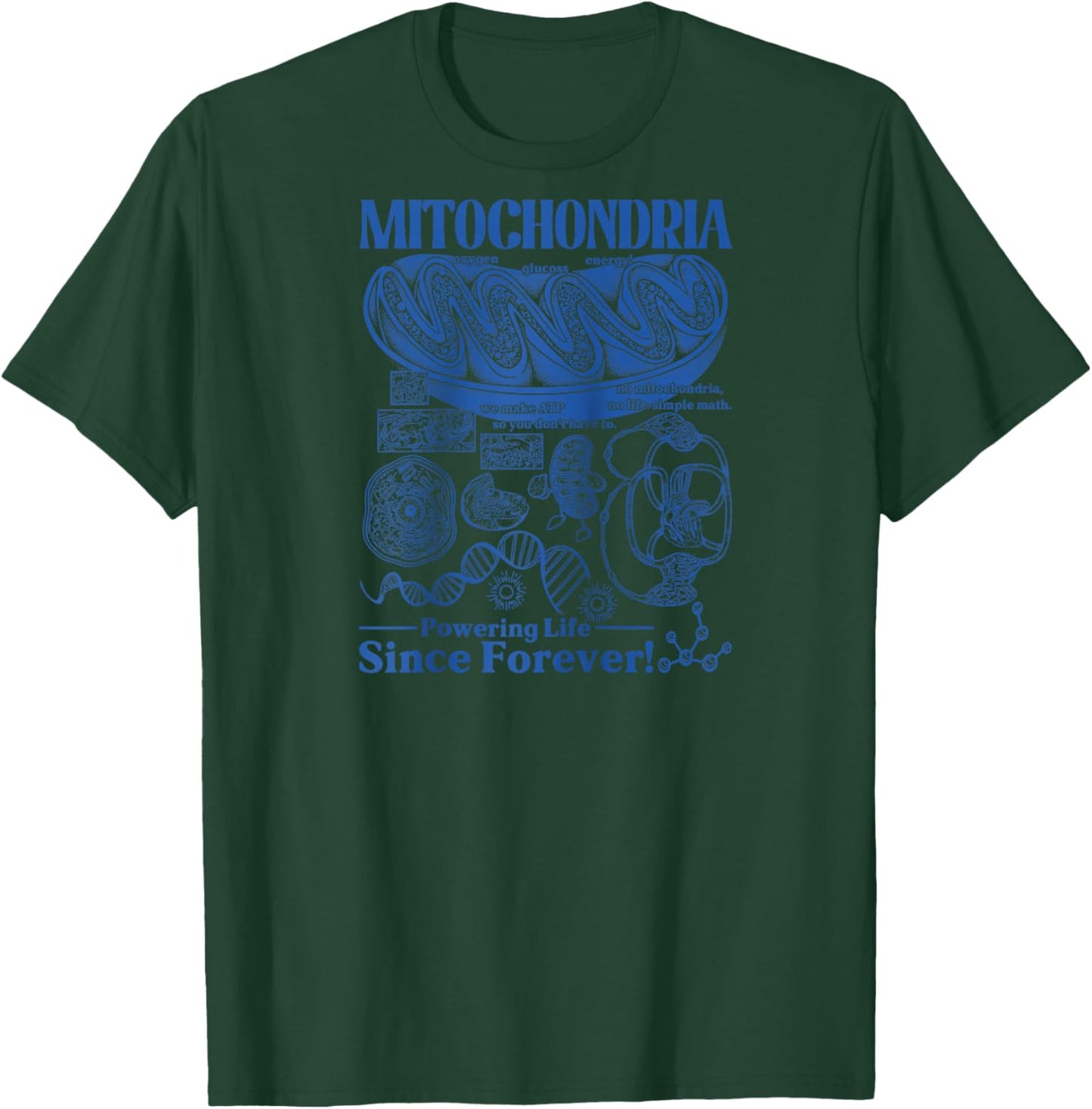 Mitochondria Vintage Science Biology Cell Diagram Geek Lab Raglan Baseball T-Shirt - T-Shirt | Forest