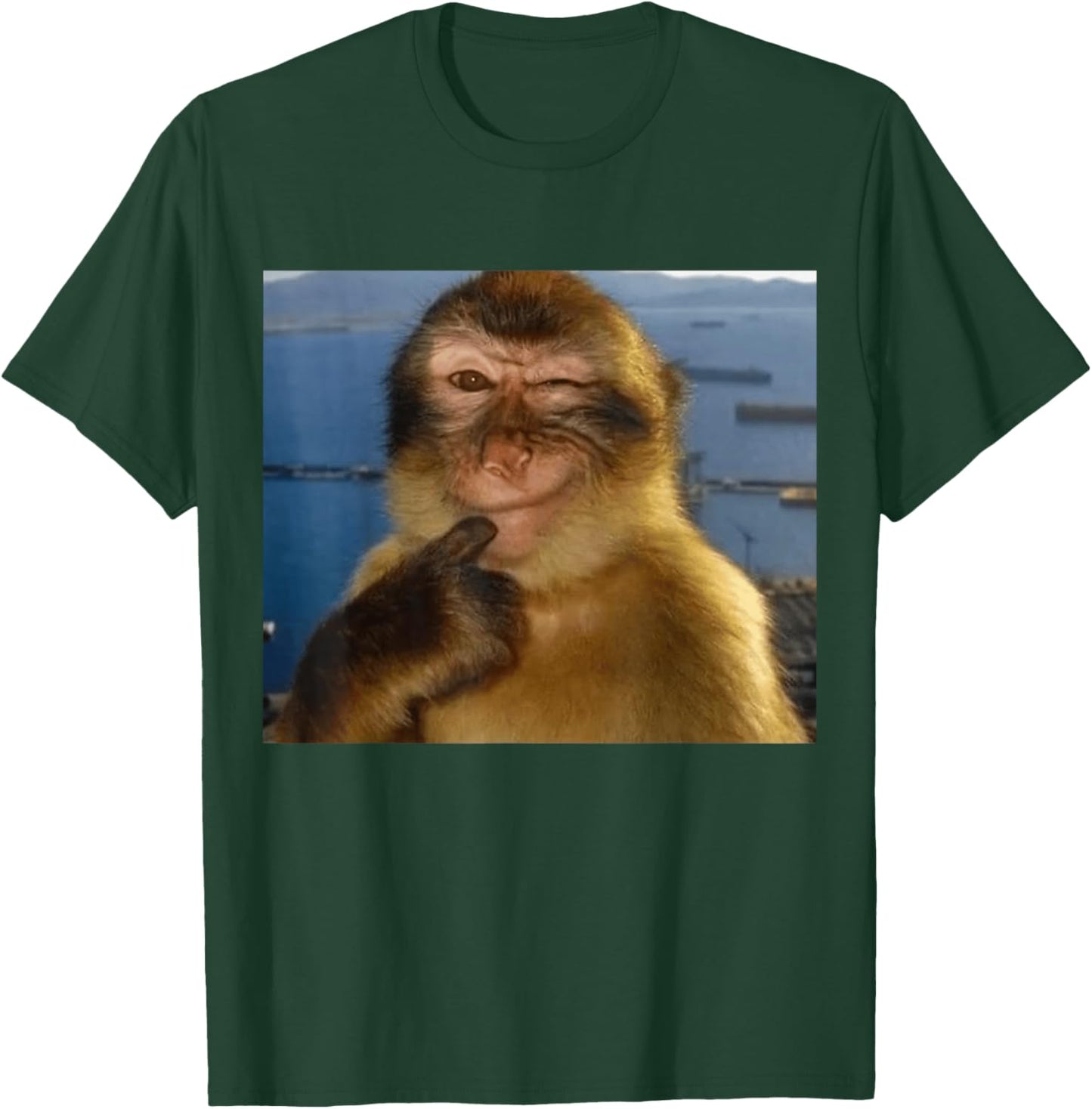 Thinking Monkey Meme Smiling | Funny Brainrot Silly T-Shirt - T-Shirt | Forest