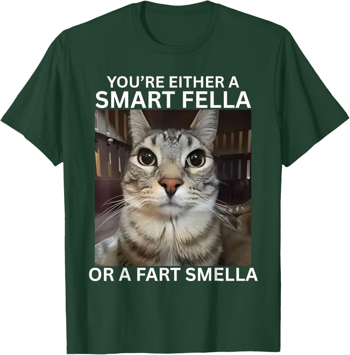 You're Either A Smart Fella Or A Fart Smella Meme Cat Meme T-Shirt - T-Shirt | Forest
