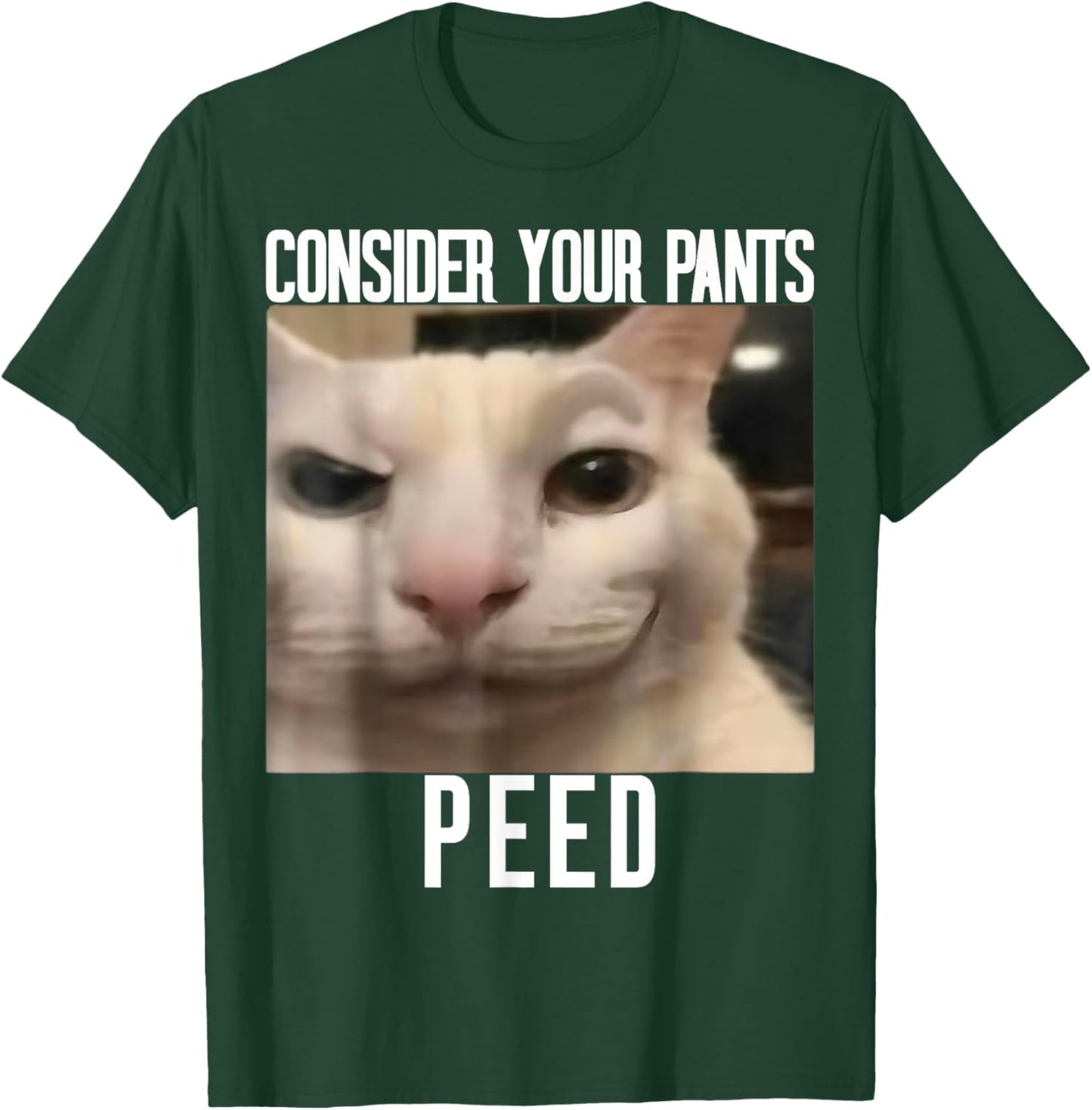 Consider Your Pants Peed Weird Cat Meme Funny Memes Brainrot T-Shirt - T-Shirt | Forest