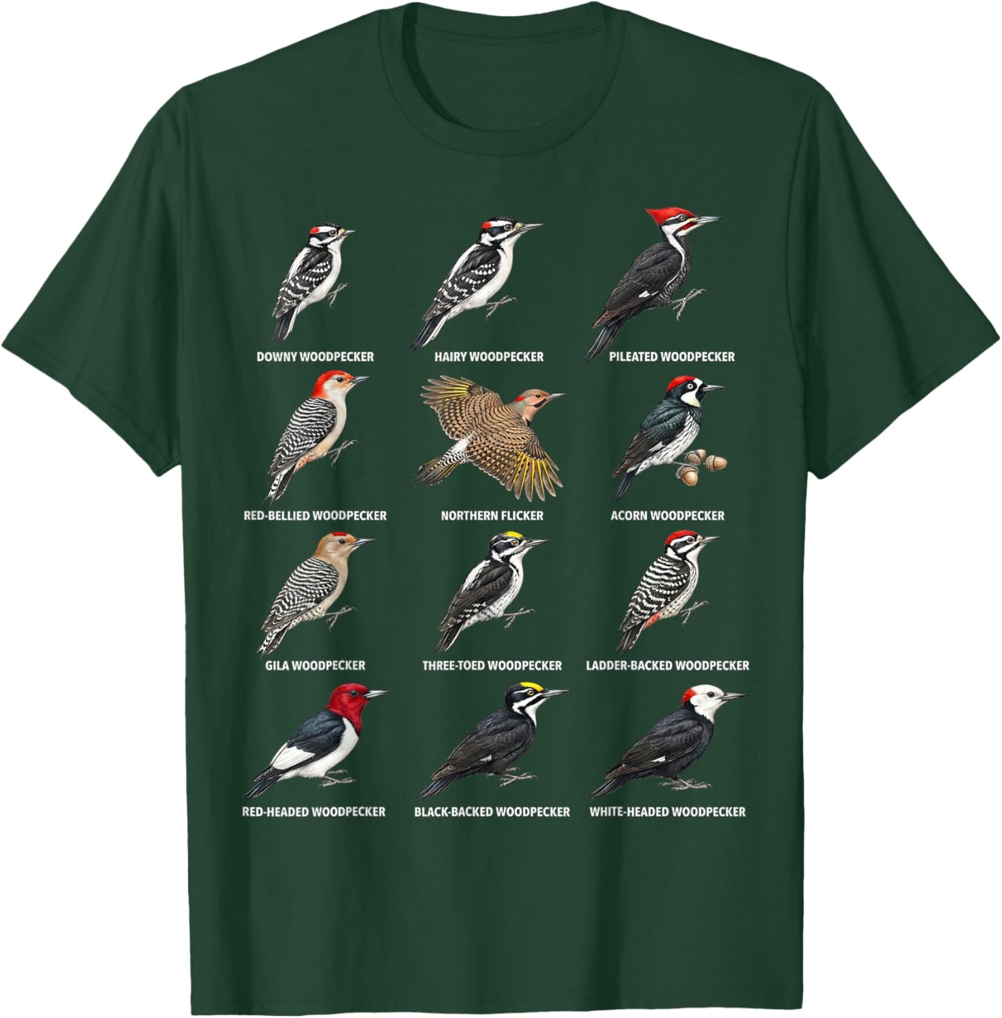 Woodpecker Species Chart – Types of Woodpeckers T-Shirt - T-Shirt | Forest
