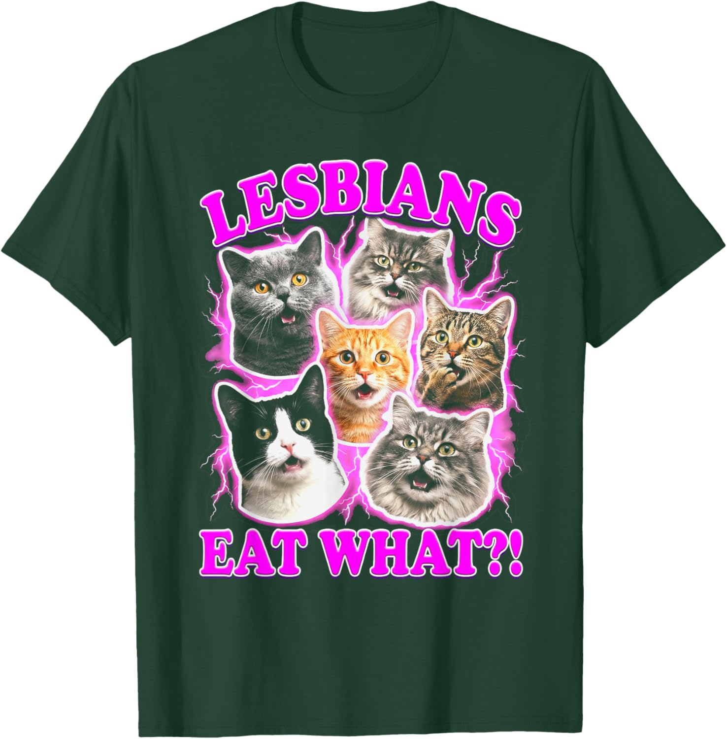 Lesbians Eat What Funny Cat Gay Pride LGBTQ Pun T-Shirt - T-Shirt | Forest