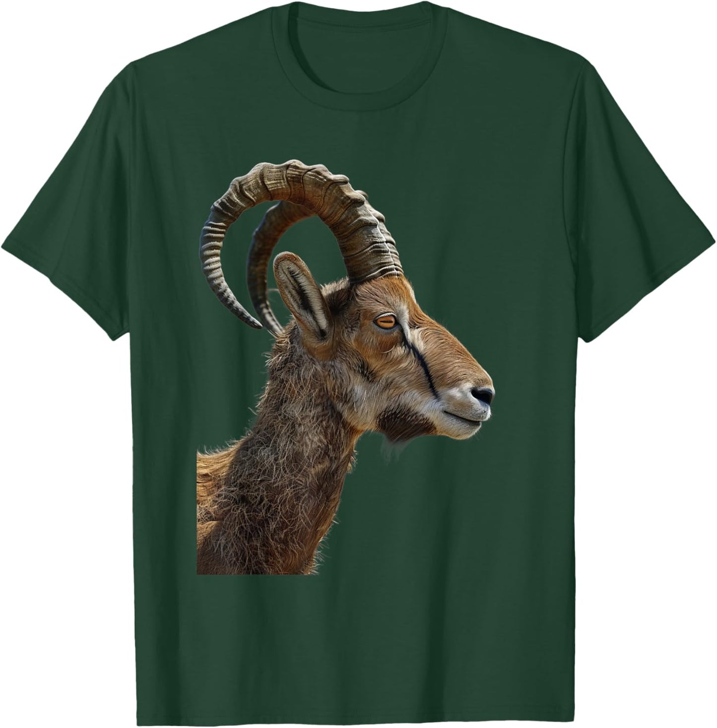 Ibex T-Shirt - T-Shirt | Forest