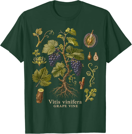 Grape Vine Botanical Anatomy Vintage Nature Study Art T-Shirt - T-Shirt | Forest