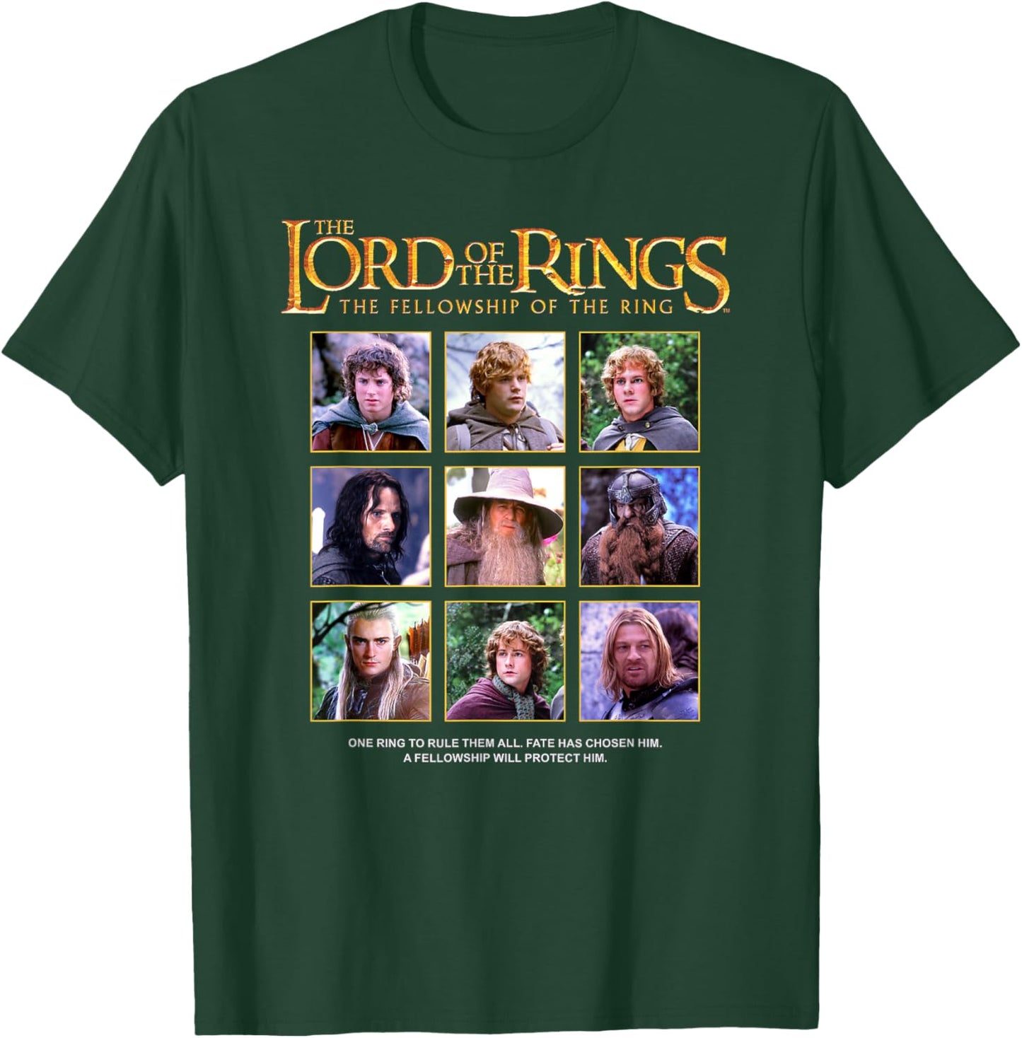 The Lord of the Rings The Fellowship Of The Ring Box Ups T-Shirt - T-Shirt | Forest