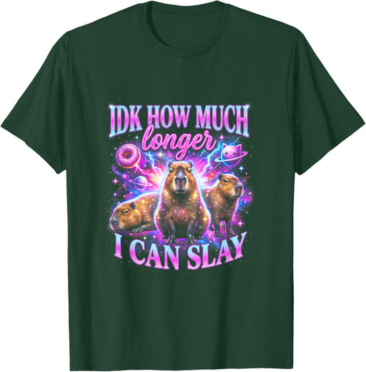 IDK How Much Longer I Can Slay Space Capybara Galaxy T-Shirt - T-Shirt | Forest
