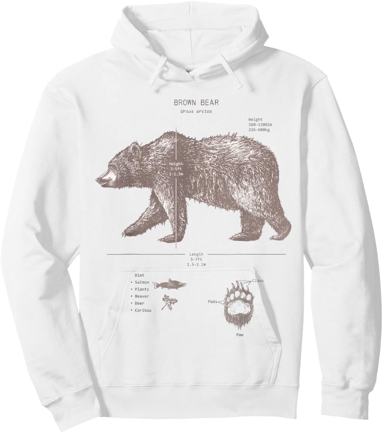 Brown Bear Anatomy Hoodie - Hoodie | White