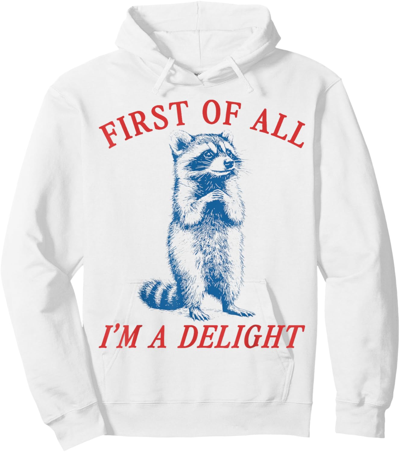 First of All I'm A Delight Vintgae Saying Sarcastic Raccoon Hoodie - Hoodie | White