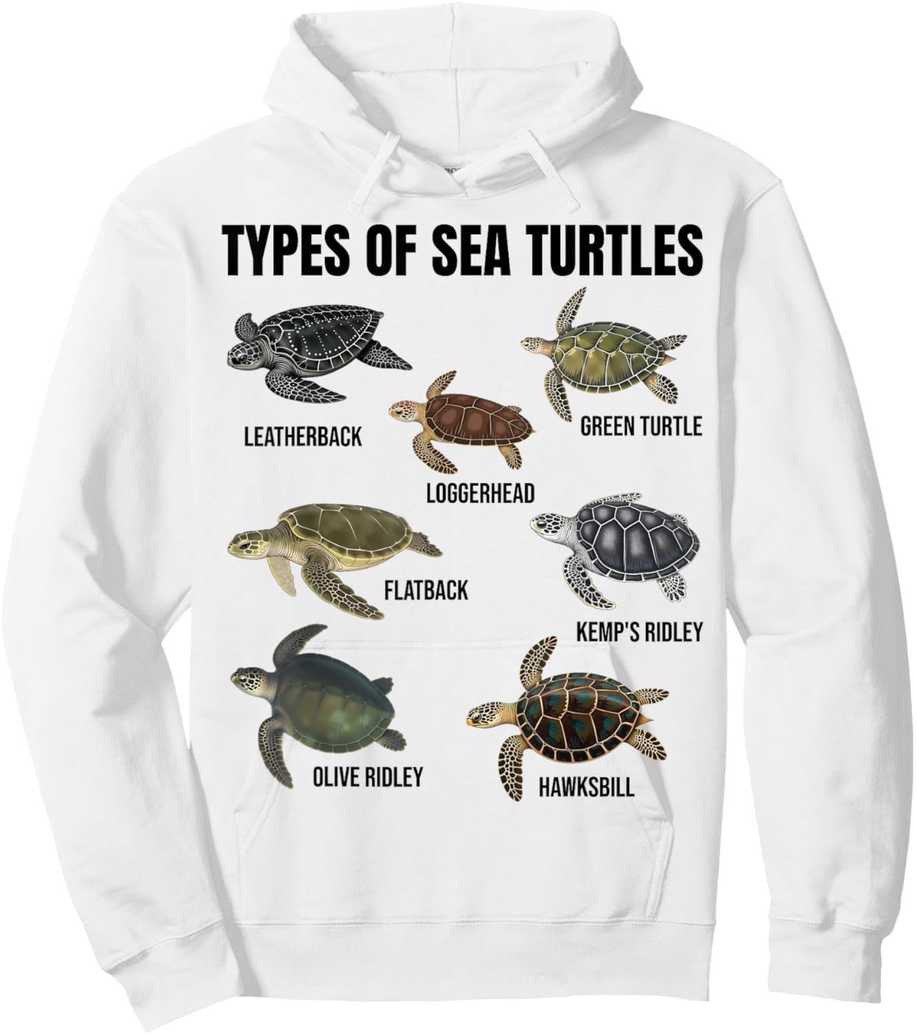 Types of Sea Turtles Marine Turtle Species Educational Chart Hoodie - Hoodie | White