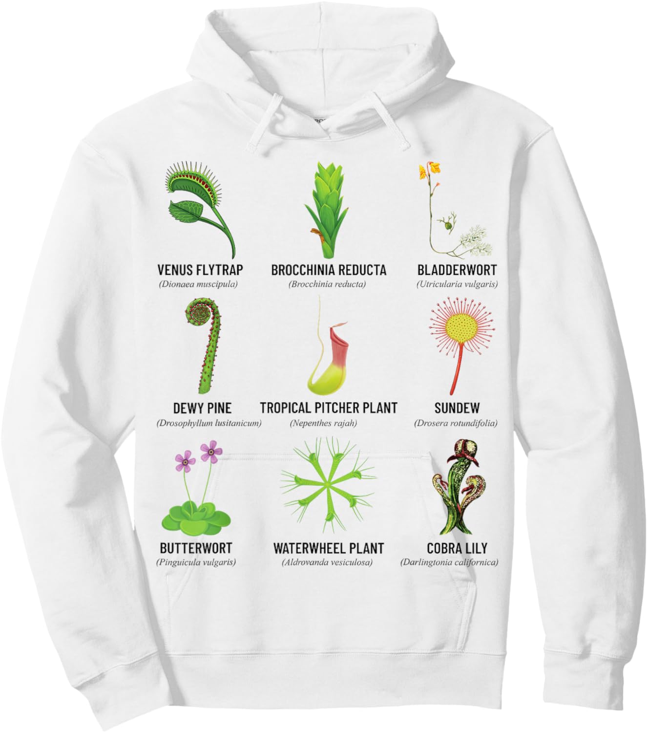 Carnivorous Plants Chart Venus Flytrap, Pitcher Plant Hoodie - Hoodie | White