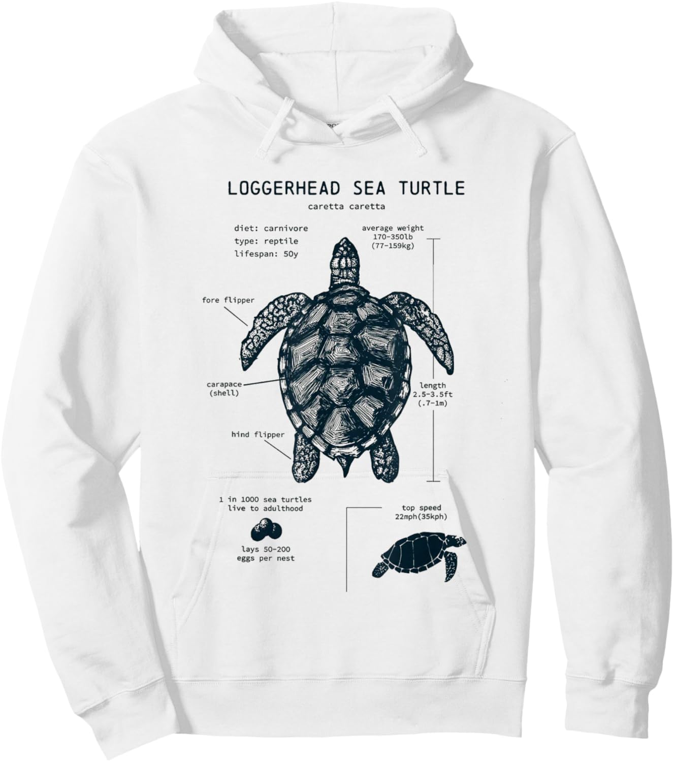 Youth Sea Turtle Anatomy Hoodie - Hoodie | White