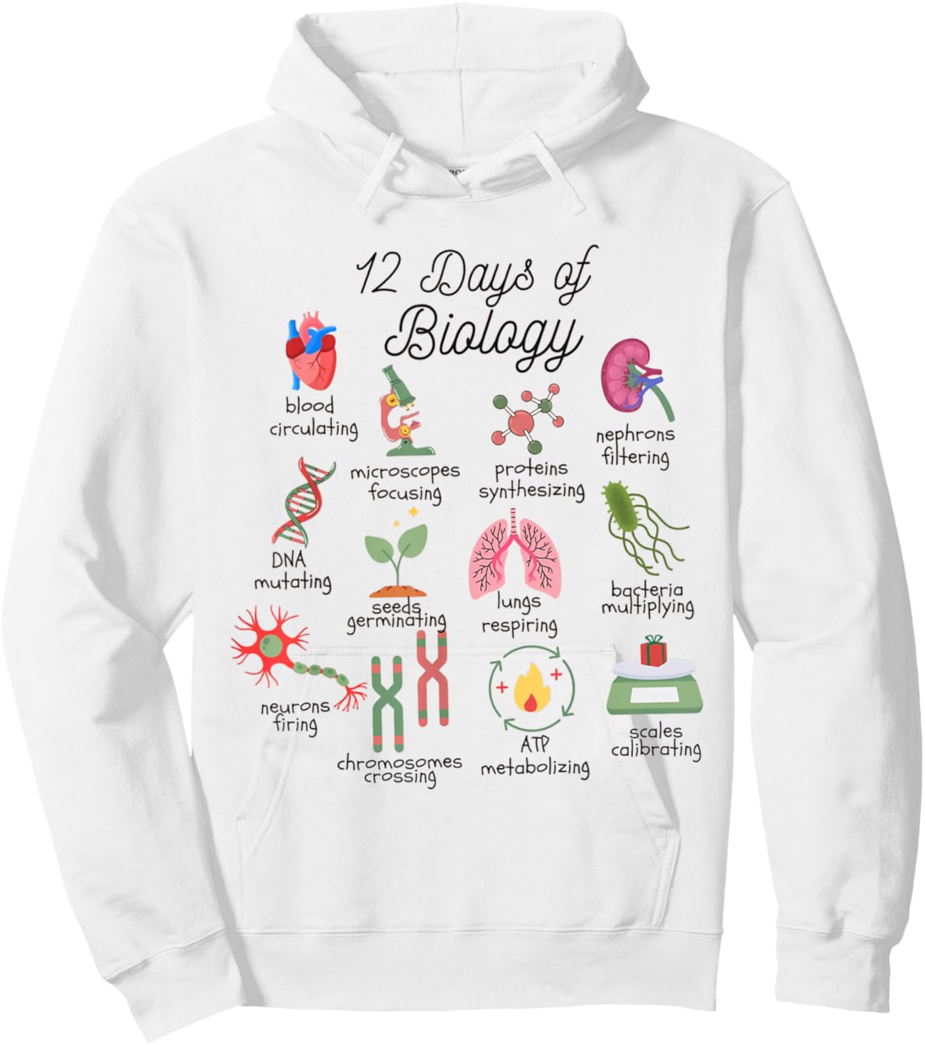12 Days Of Biology Science Christmas Science Teacher Student Hoodie - Hoodie | White