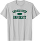Chicago State Cougars Varsity Gray Officially Licensed T-Shirt - T-Shirt | Ash