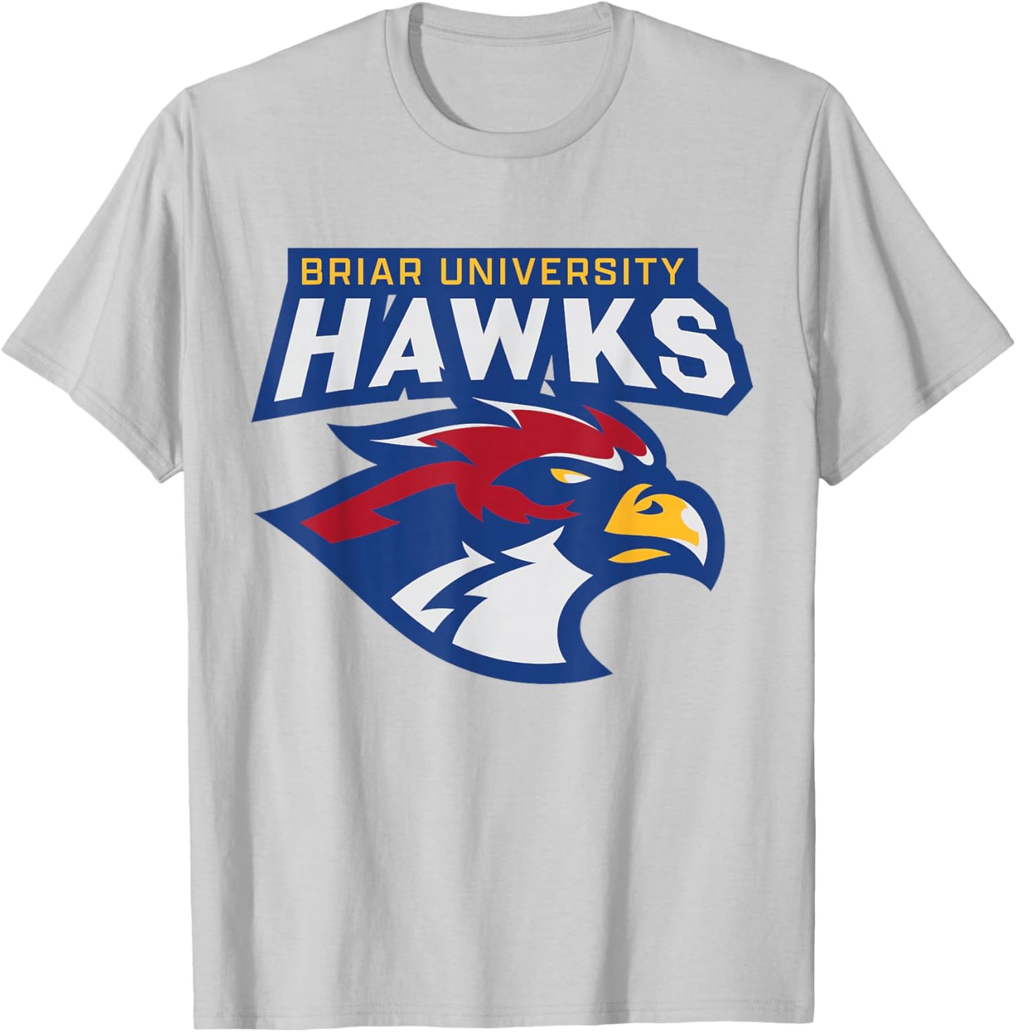 Briar University Hawks T-Shirt - T-Shirt | Ash
